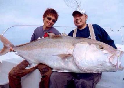 夢見釣到大魚|夢見自己釣到大魚周公解夢